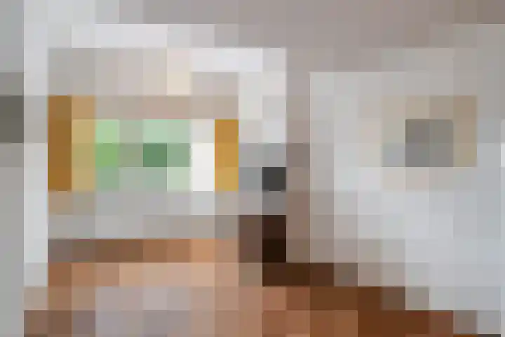 Langenakker 74 Mierlo thumbnail 27