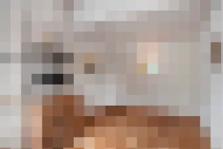 Langenakker 74 Mierlo thumbnail 28