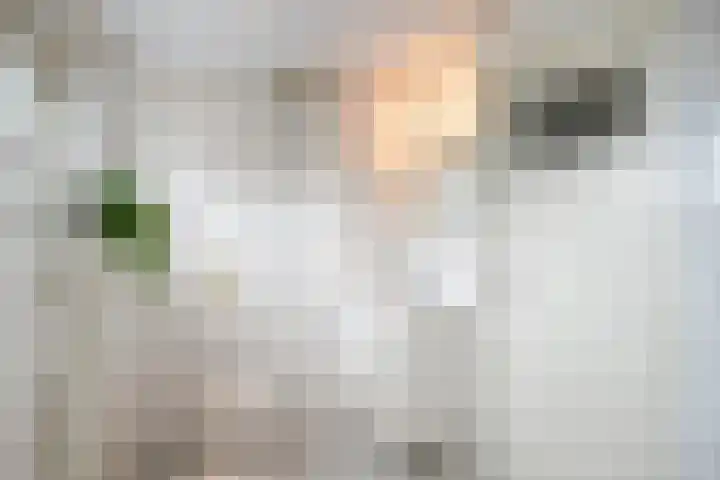 Langenakker 74 Mierlo thumbnail 29