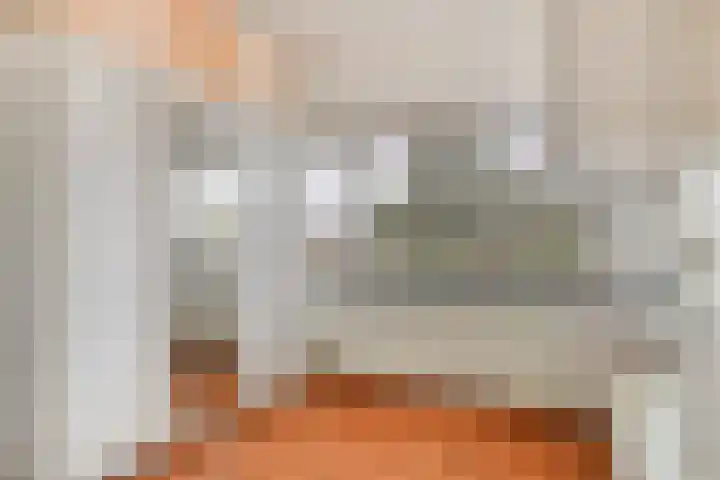 Langenakker 74 Mierlo thumbnail 31