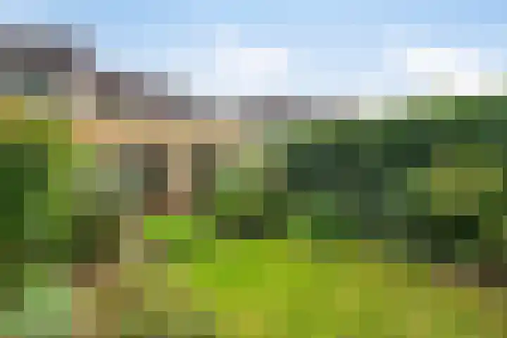Langenakker 74 Mierlo thumbnail 33