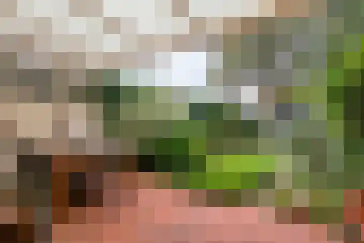 Langenakker 74 Mierlo thumbnail 34