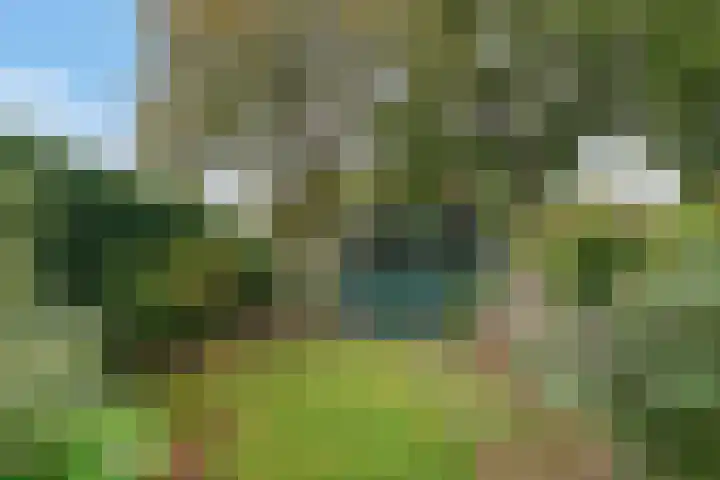 Langenakker 74 Mierlo thumbnail 35