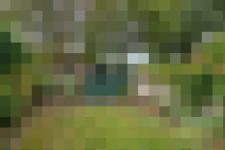 Langenakker 74 Mierlo thumbnail 36