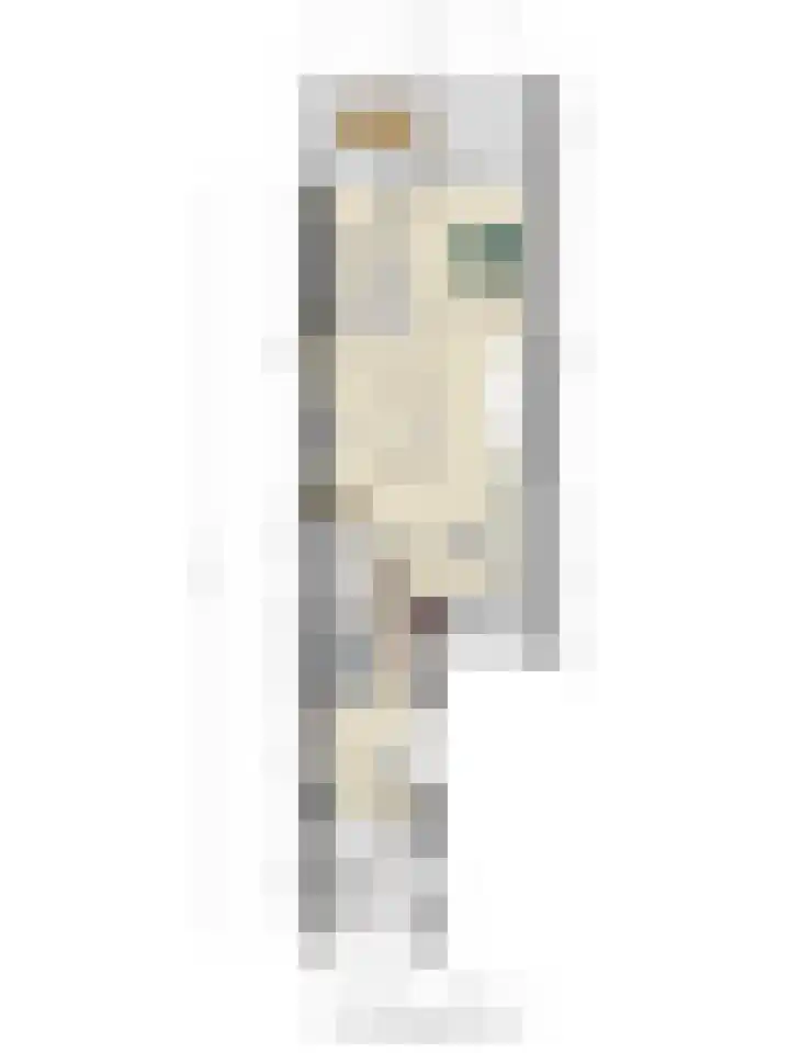 Langenakker 74 Mierlo thumbnail 37