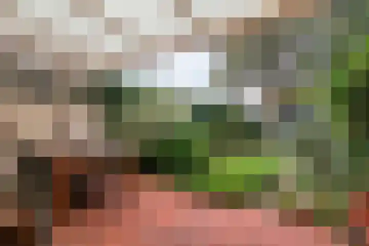 Langenakker 74 Mierlo thumbnail 4