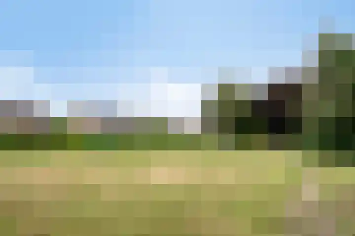 Langenakker 74 Mierlo thumbnail 42