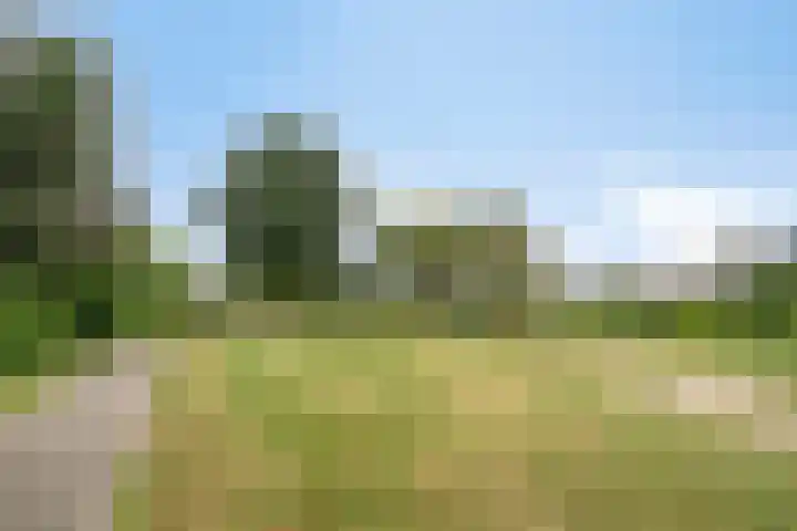 Langenakker 74 Mierlo thumbnail 43