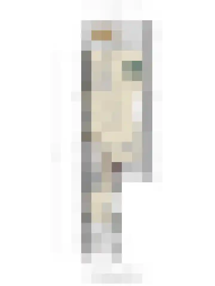 Langenakker 74 Mierlo thumbnail 44
