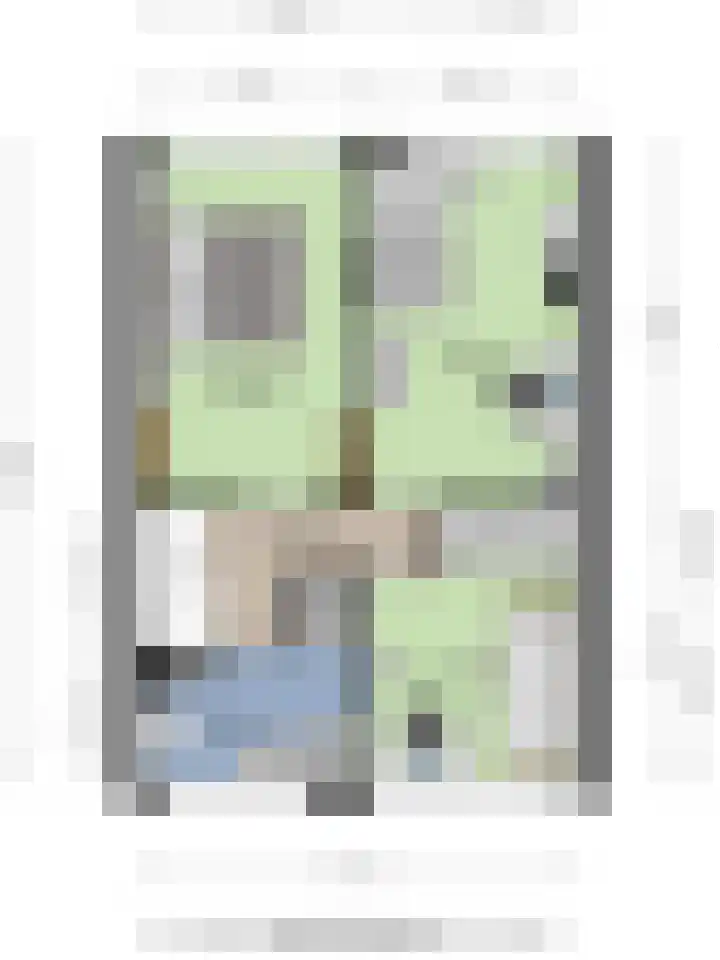 Langenakker 74 Mierlo thumbnail 45