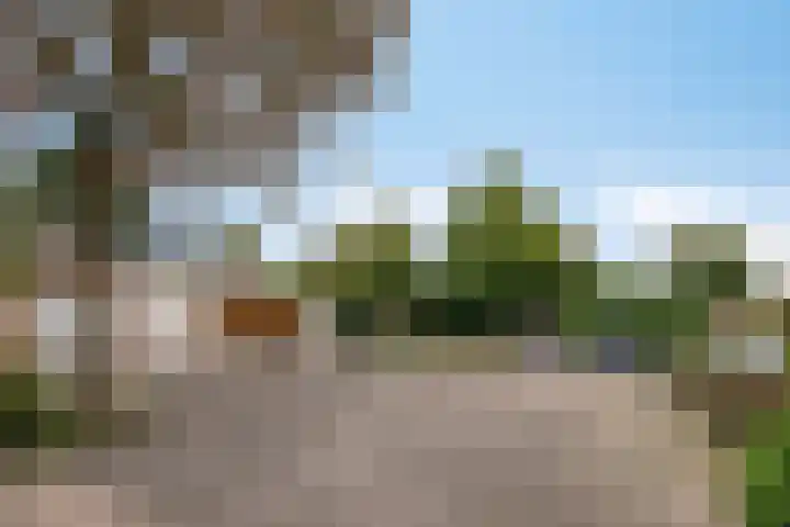 Langenakker 74 Mierlo thumbnail 6