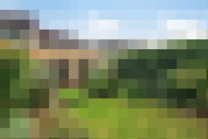 Langenakker 74 Mierlo thumbnail 8