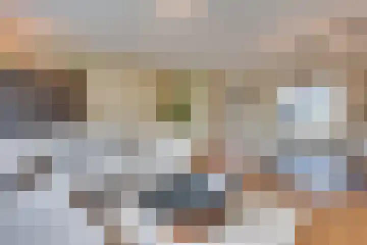 Langenakker 77 Mierlo thumbnail 10