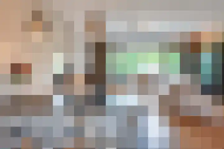 Langenakker 77 Mierlo thumbnail 12