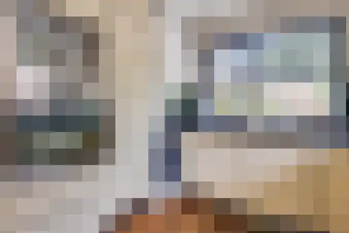 Langenakker 77 Mierlo thumbnail 14