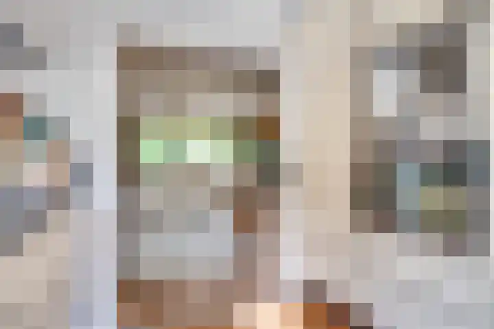 Langenakker 77 Mierlo thumbnail 15
