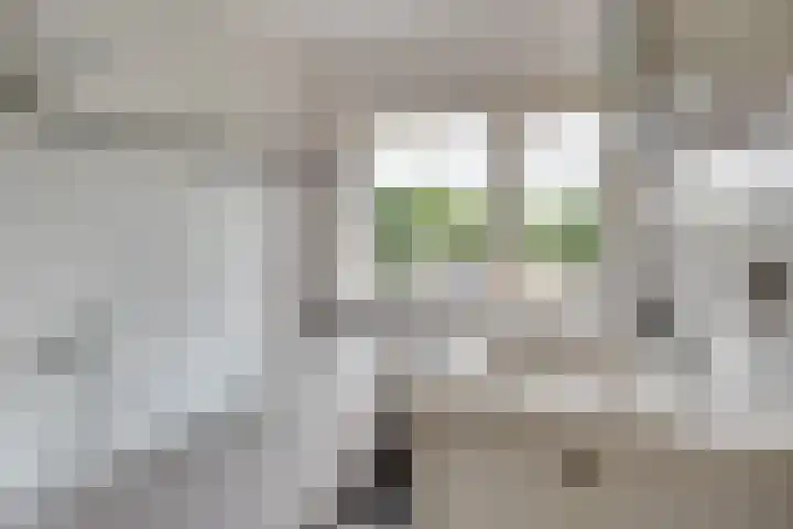 Langenakker 77 Mierlo thumbnail 19