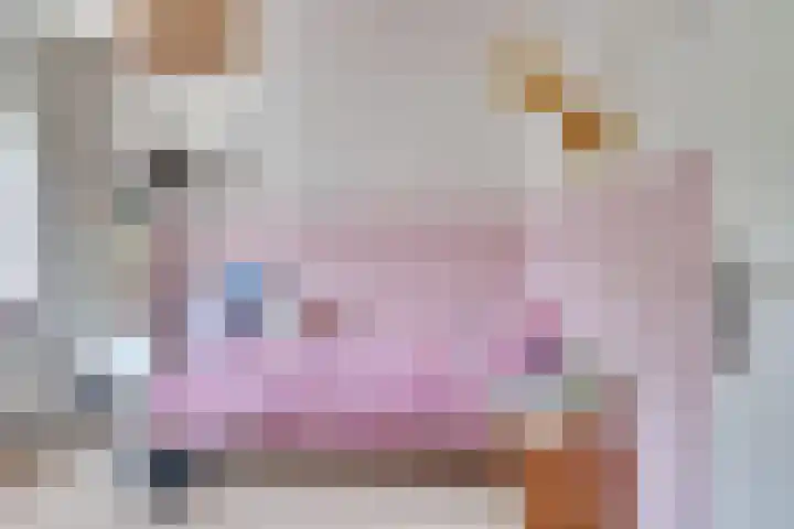 Langenakker 77 Mierlo thumbnail 21