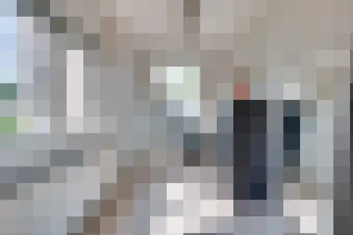 Langenakker 77 Mierlo thumbnail 24