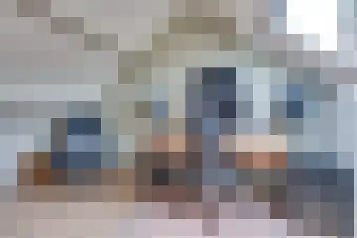 Langenakker 77 Mierlo thumbnail 26