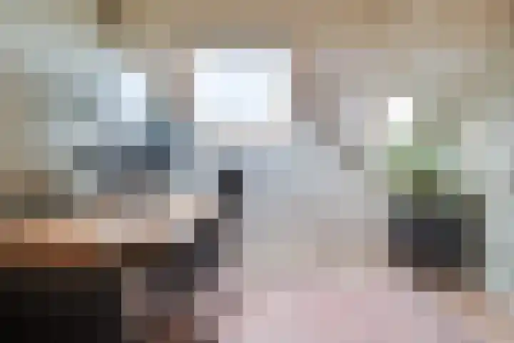 Langenakker 77 Mierlo thumbnail 27