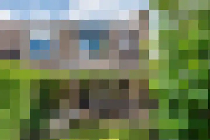 Langenakker 77 Mierlo thumbnail 29