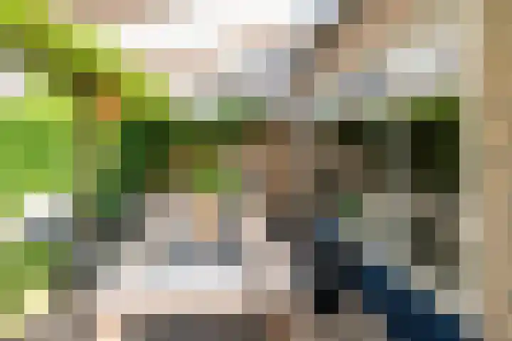 Langenakker 77 Mierlo thumbnail 30