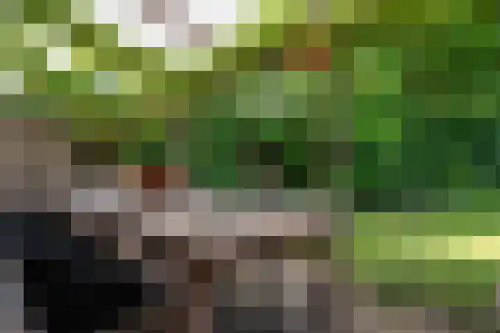 Langenakker 77 Mierlo thumbnail 31