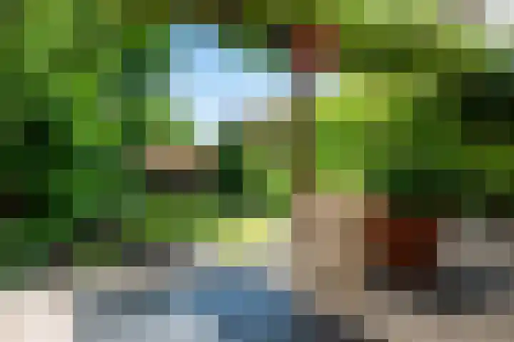 Langenakker 77 Mierlo thumbnail 32