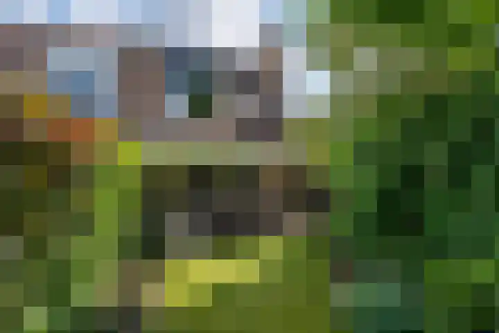 Langenakker 77 Mierlo thumbnail 35