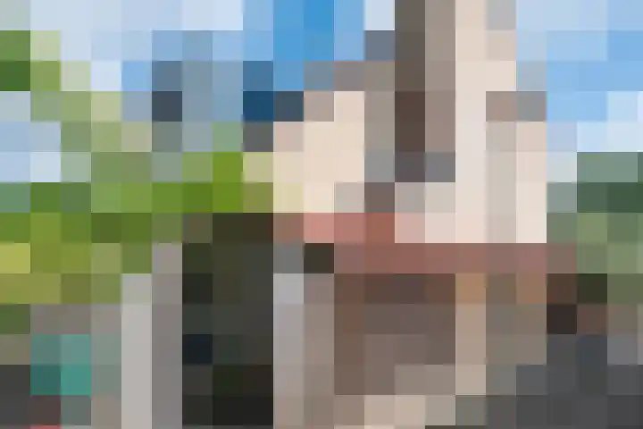 Langenakker 77 Mierlo thumbnail 36