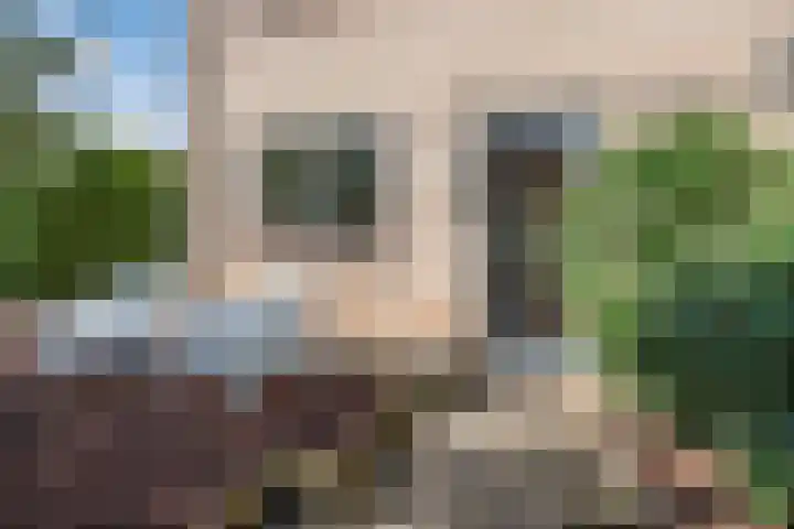 Langenakker 77 Mierlo thumbnail 4