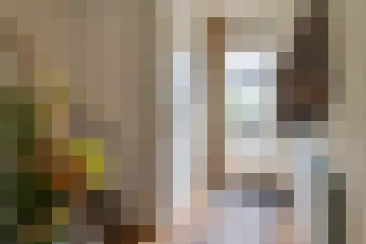 Langenakker 77 Mierlo thumbnail 5