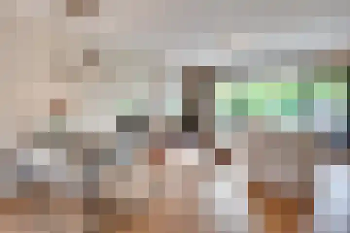 Langenakker 77 Mierlo thumbnail 6