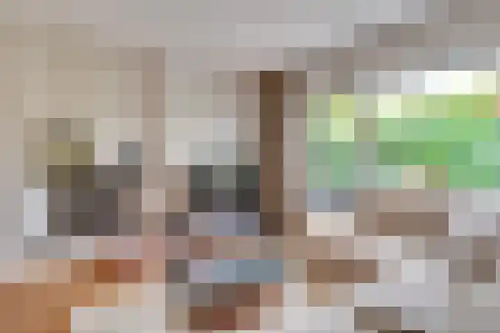 Langenakker 77 Mierlo thumbnail 8