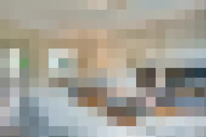 Langenakker 77 Mierlo thumbnail 9