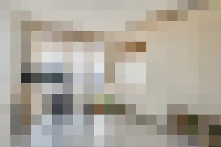 Langenakker 8 Vlierden thumbnail 13