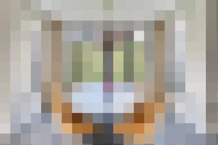 Langenakker 8 Vlierden thumbnail 22