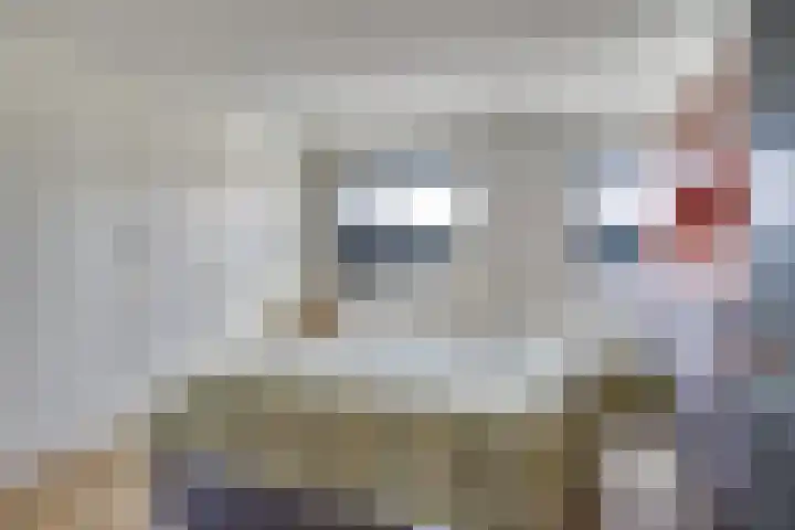 Langenakker 8 Vlierden thumbnail 30