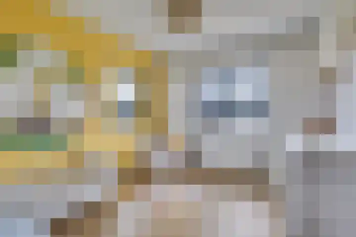 Langenakker 8 Vlierden thumbnail 33