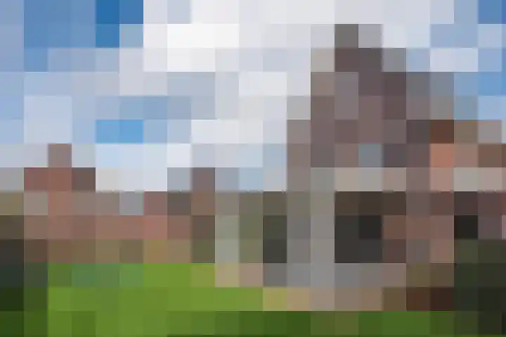 Langenakker 8 Vlierden thumbnail 6