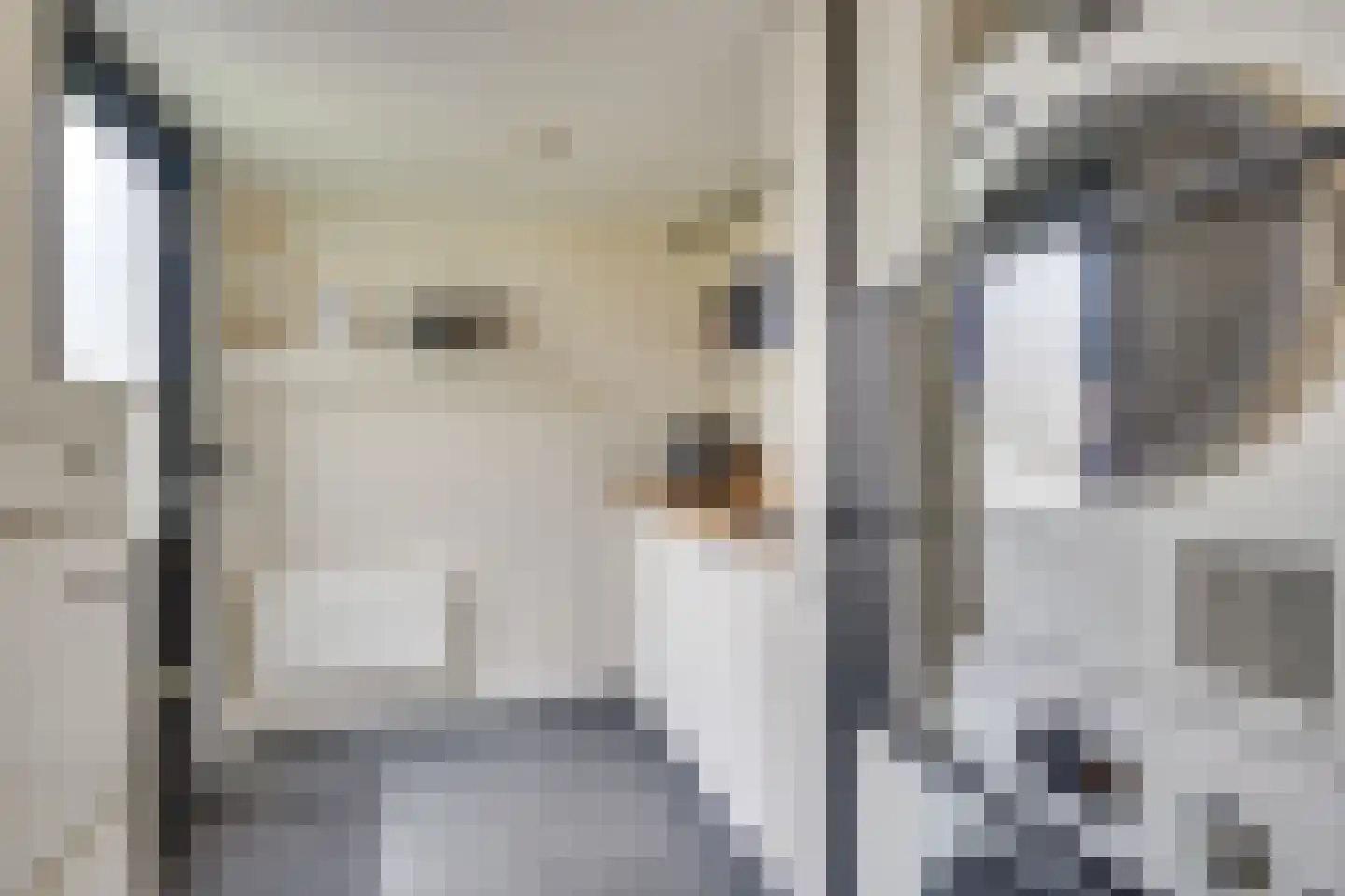 Langenakker 89 Mierlo thumbnail 21