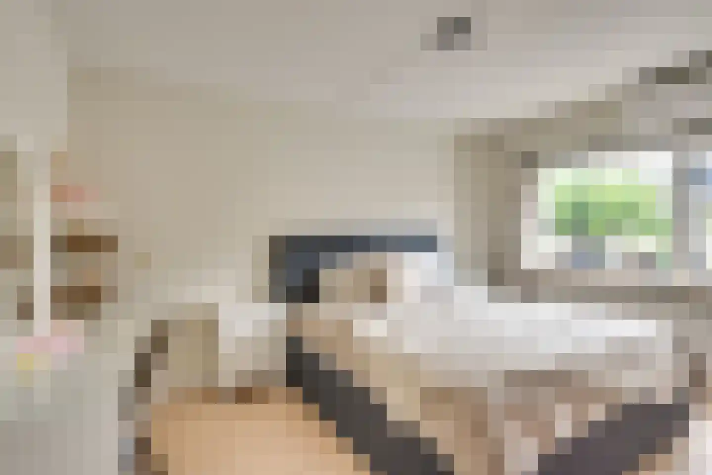 Langenakker 89 Mierlo thumbnail 24