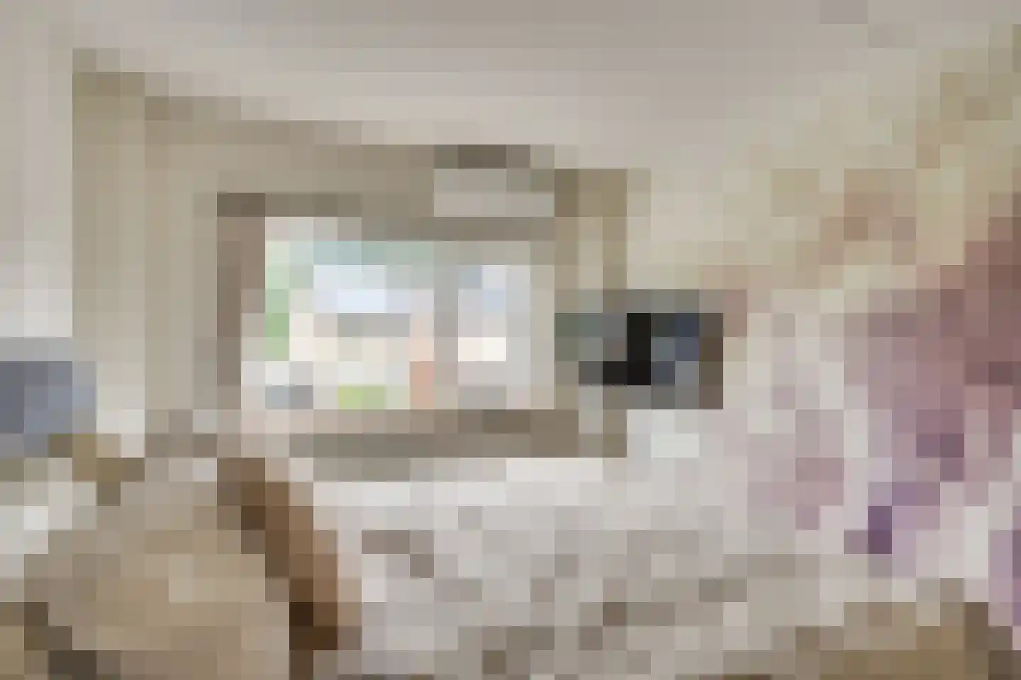Langenakker 89 Mierlo thumbnail 25