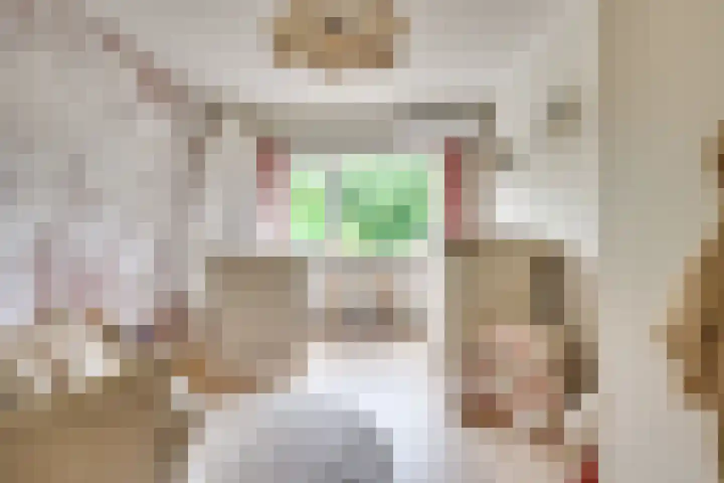 Langenakker 89 Mierlo thumbnail 26