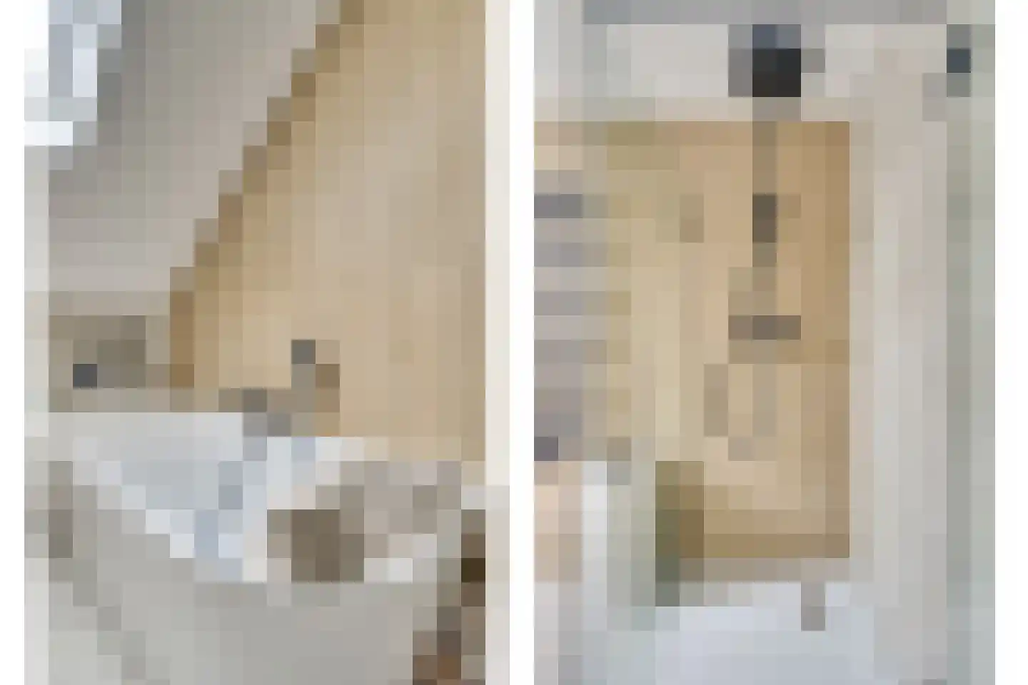 Langenakker 89 Mierlo thumbnail 28
