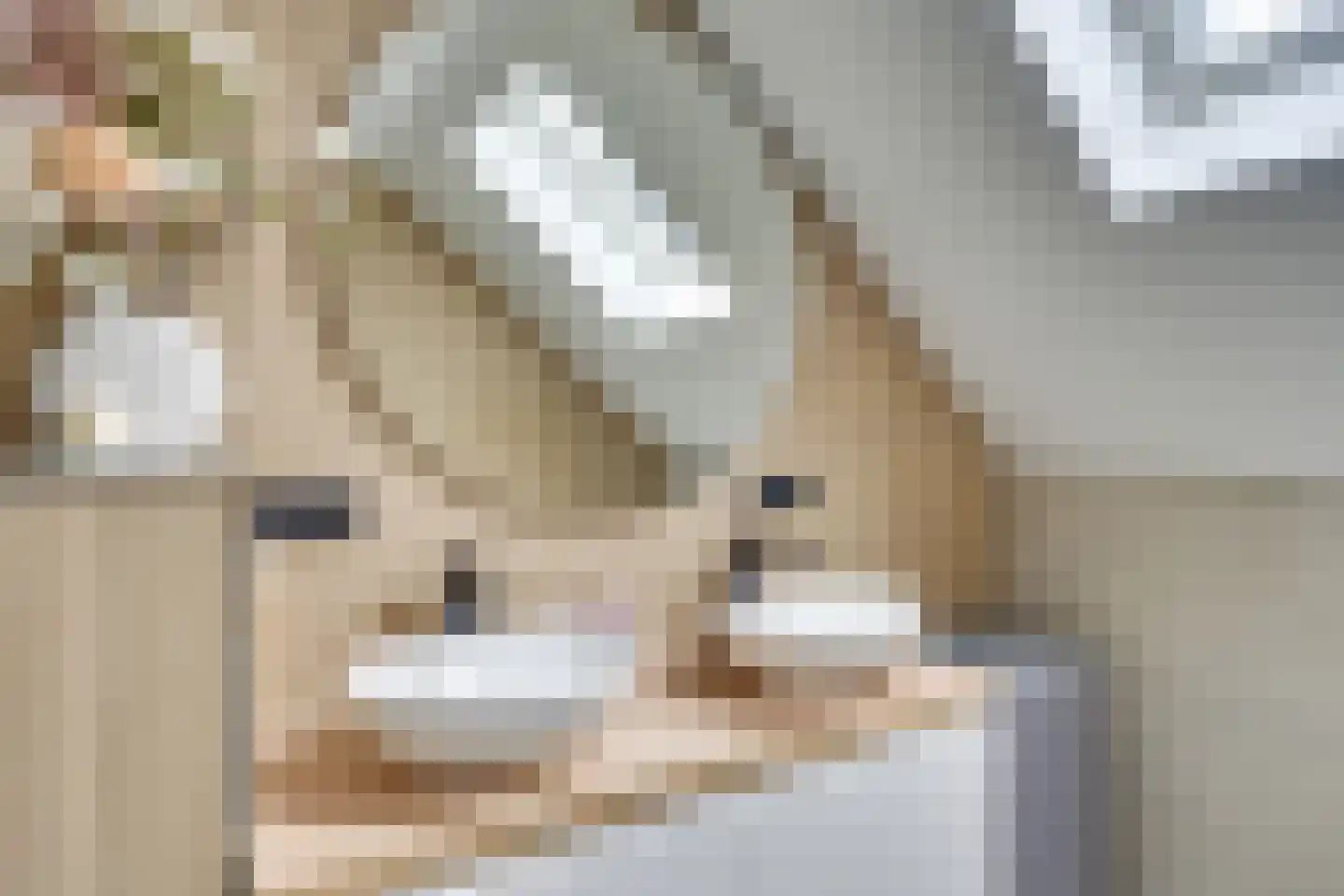 Langenakker 89 Mierlo thumbnail 29