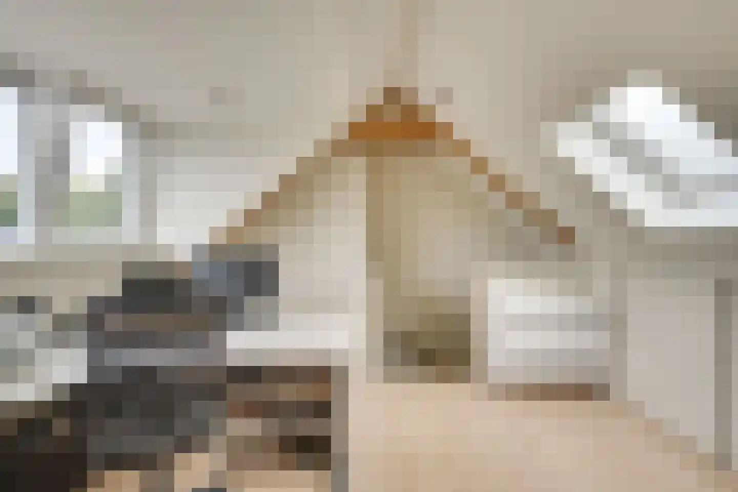 Langenakker 89 Mierlo thumbnail 30