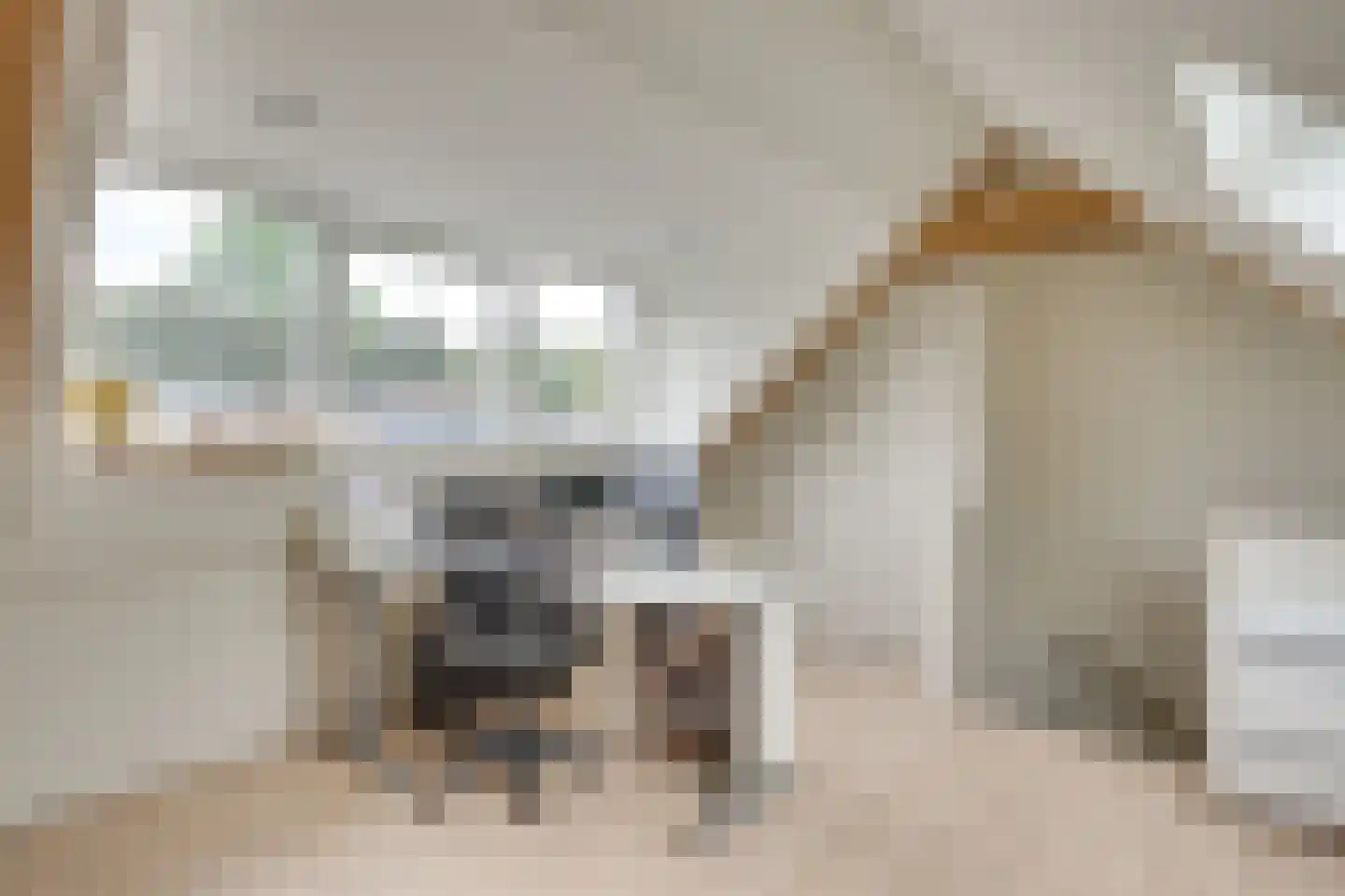 Langenakker 89 Mierlo thumbnail 32