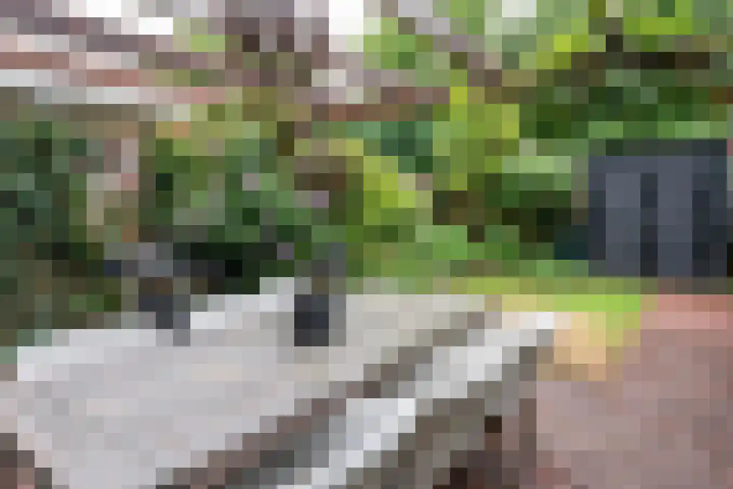 Langenakker 89 Mierlo thumbnail 33